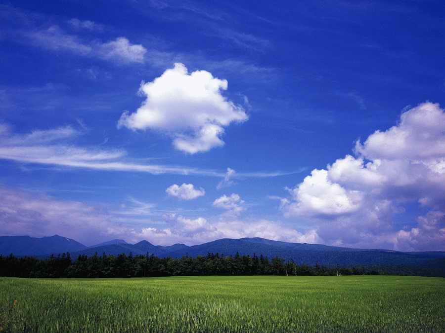 Scenery - Dex Super Gu ></a>
<script language=JavaScript> 
  var txt = 