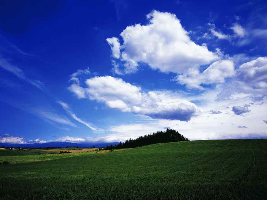 Scenery - Dex Super Gu ></a>
<script language=JavaScript> 
  var txt = 