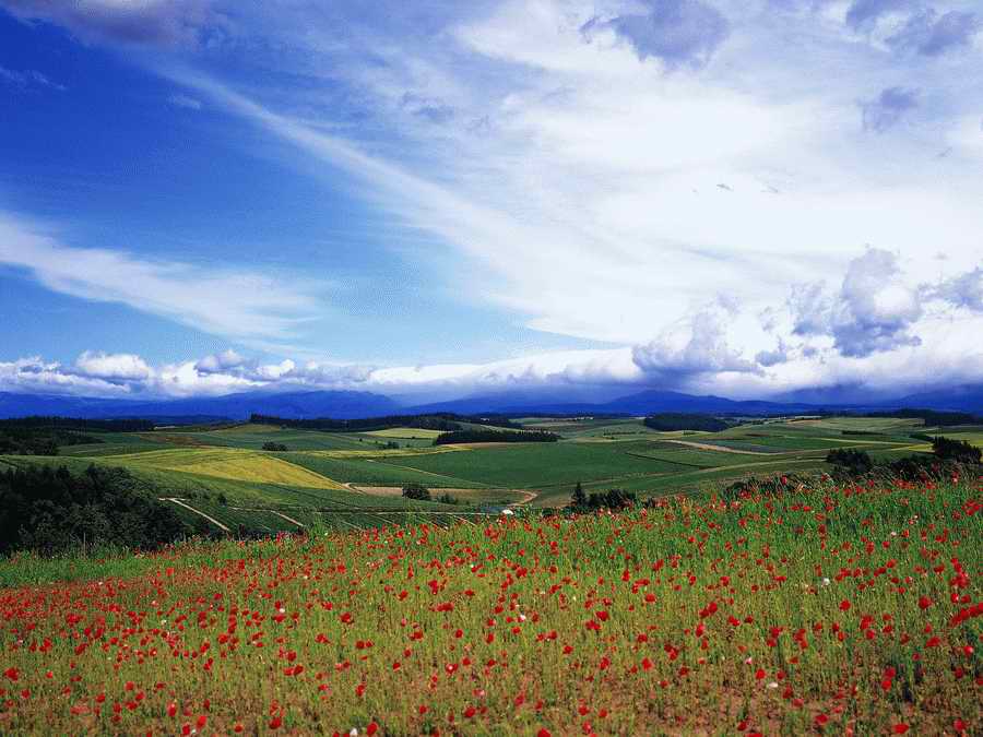 Scenery - Dex Super Gu ></a>
<script language=JavaScript> 
  var txt = 