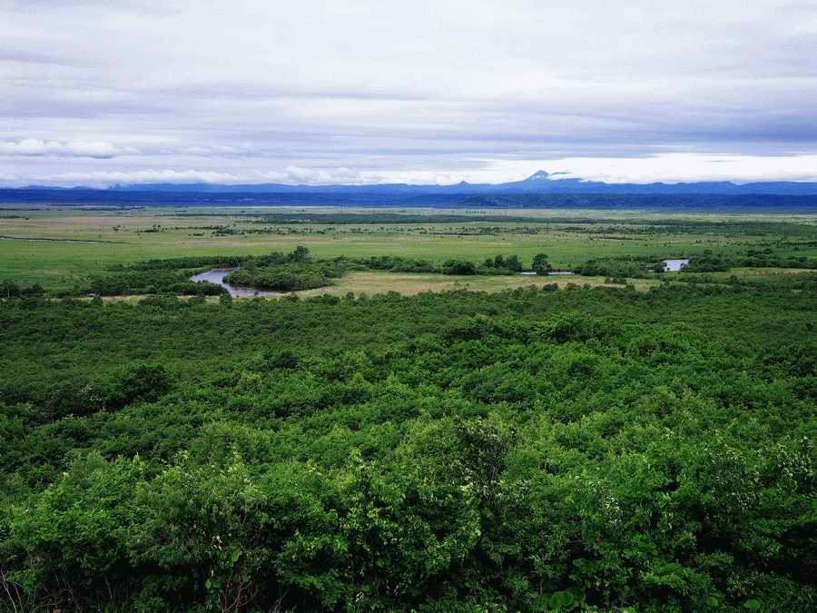 Scenery - Dex Super Gu ></a>
<script language=JavaScript> 
  var txt = 