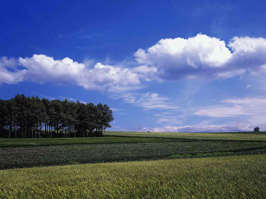 Scenery - Dex Super Gu ></a>
<script language=JavaScript> 
  var txt = 