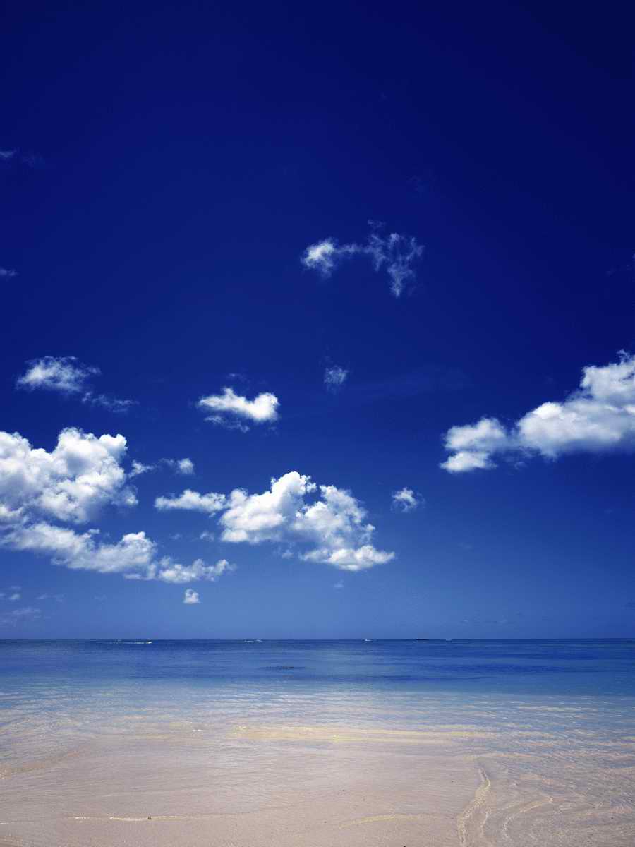 Scenery - Dex Super Gu ></a>
<script language=JavaScript> 
  var txt = 