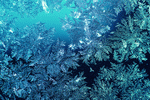Digital Vision: Aqua Blue 