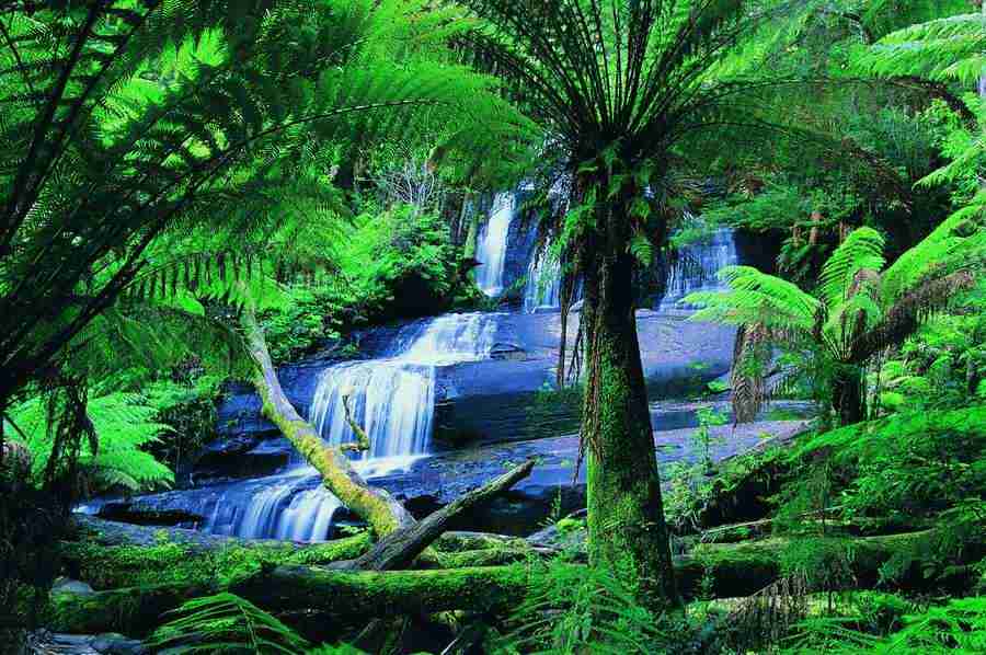 Aqua Blue - Digital Vision ></a>
<script language=JavaScript> 
  var txt = 