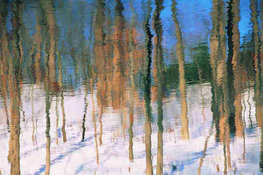 Aqua Blue - Digital Vision ></a>
<script language=JavaScript> 
  var txt = 