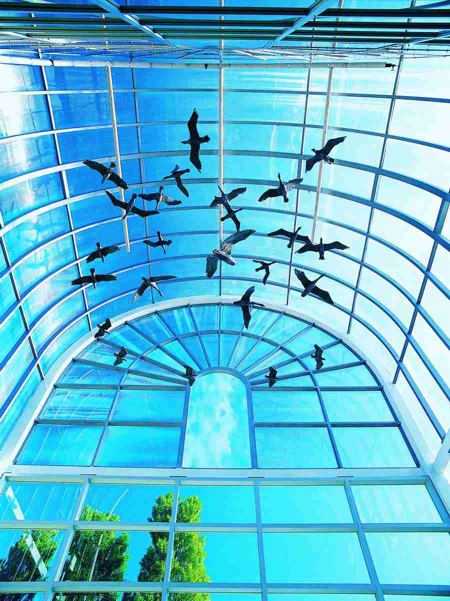 Architectural Details - Digital Vision ></a>
<script language=JavaScript> 
  var txt = 