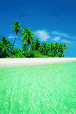 Digital Vision: Beaches and Islands 