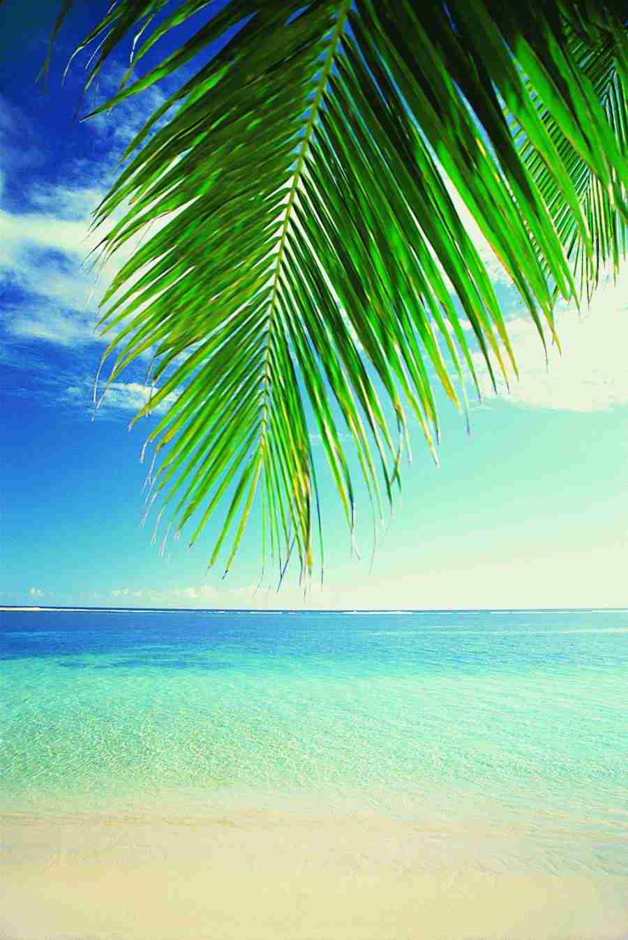 Beaches and Islands - Digital Vision ></a>
<script language=JavaScript> 
  var txt = 
