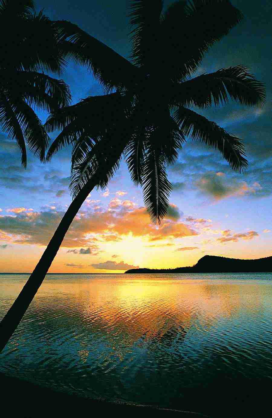 Beaches and Islands - Digital Vision ></a>
<script language=JavaScript> 
  var txt = 