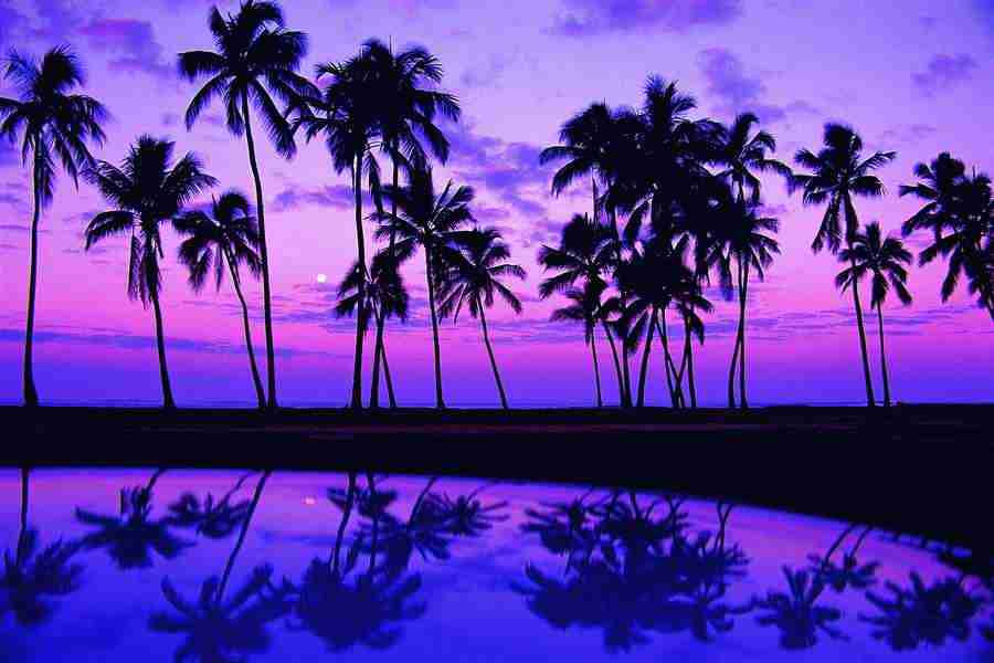 Beaches and Islands - Digital Vision ></a>
<script language=JavaScript> 
  var txt = 