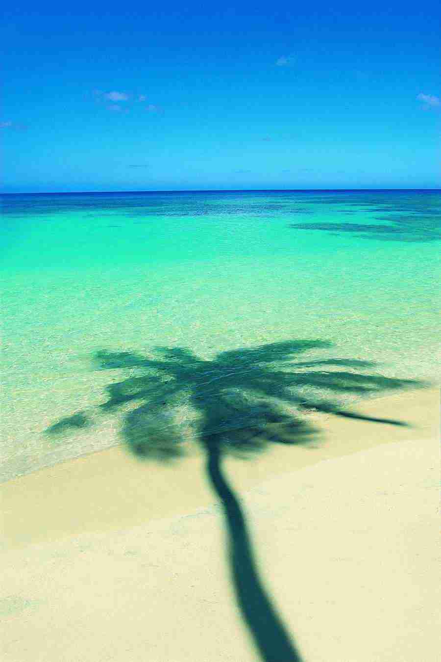 Beaches and Islands - Digital Vision ></a>
<script language=JavaScript> 
  var txt = 