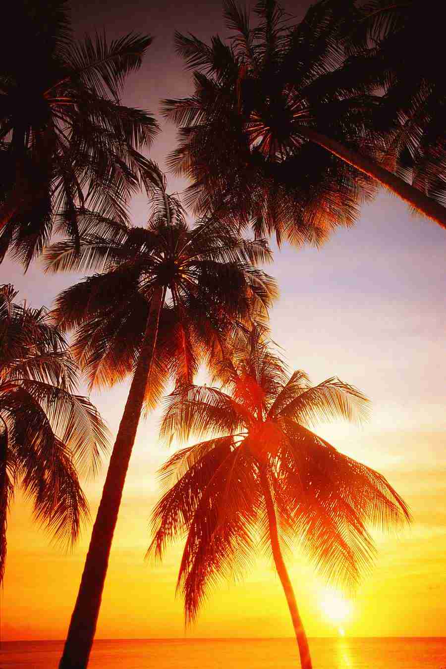 Beaches and Islands - Digital Vision ></a>
<script language=JavaScript> 
  var txt = 