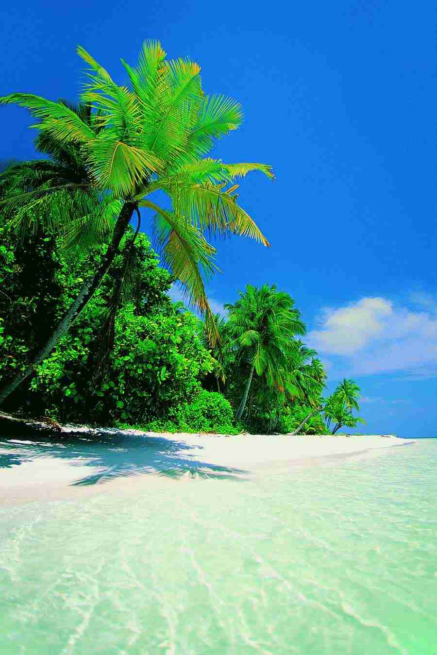 Beaches and Islands - Digital Vision ></a>
<script language=JavaScript> 
  var txt = 