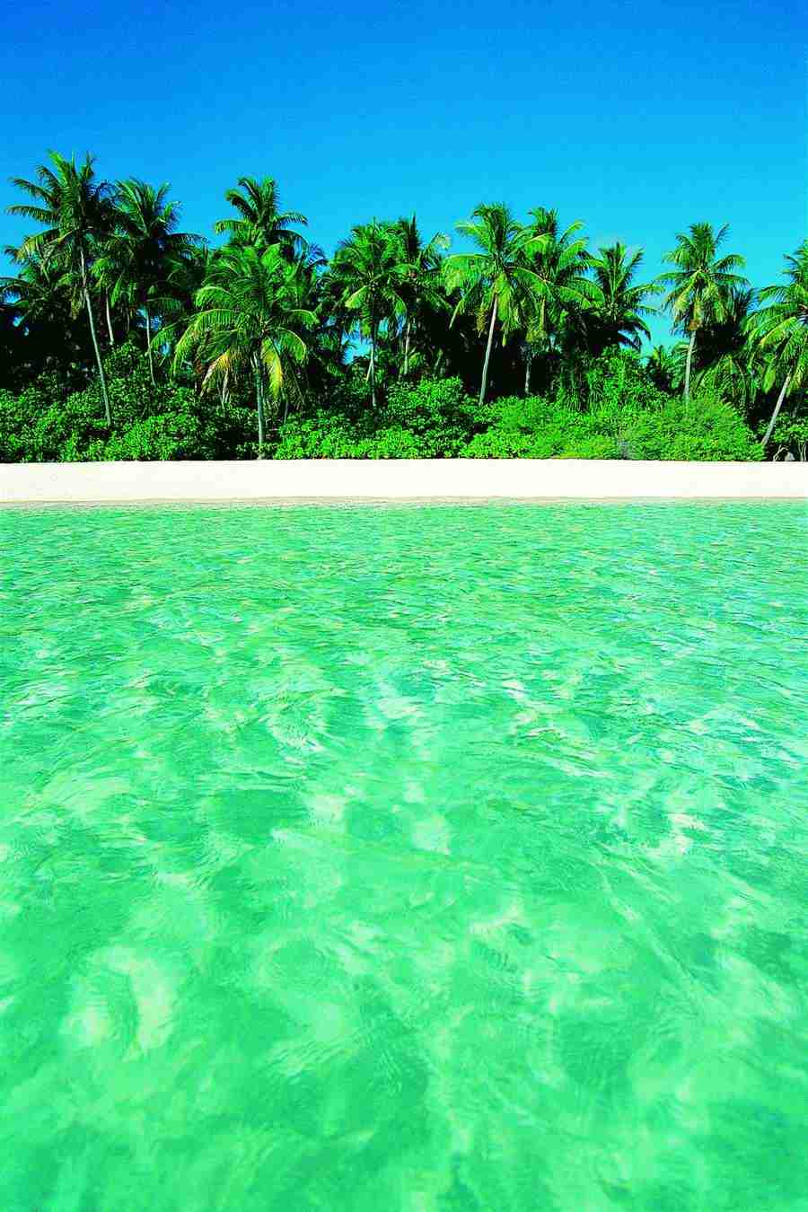 Beaches and Islands - Digital Vision ></a>
<script language=JavaScript> 
  var txt = 