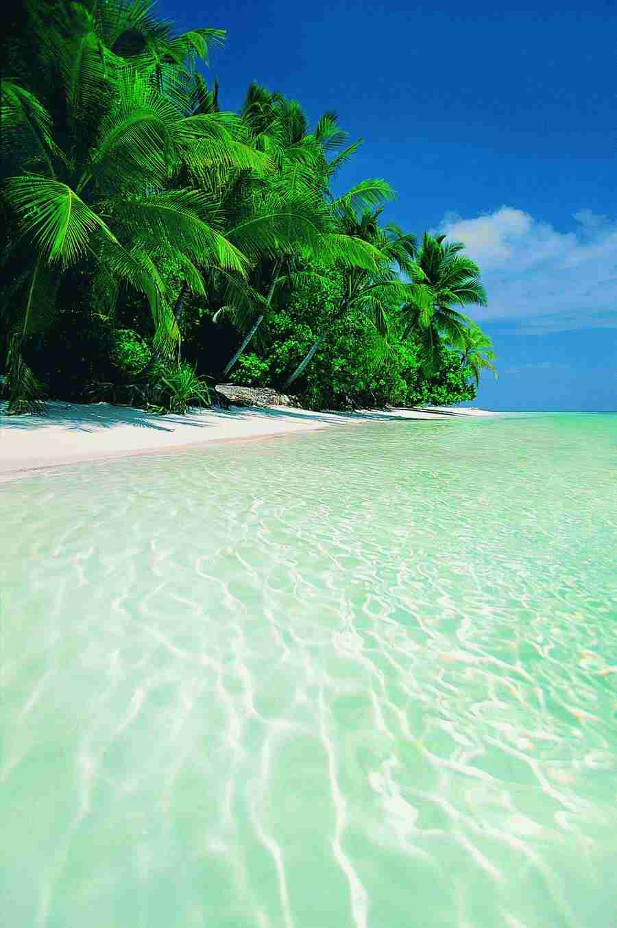 Beaches and Islands - Digital Vision ></a>
<script language=JavaScript> 
  var txt = 