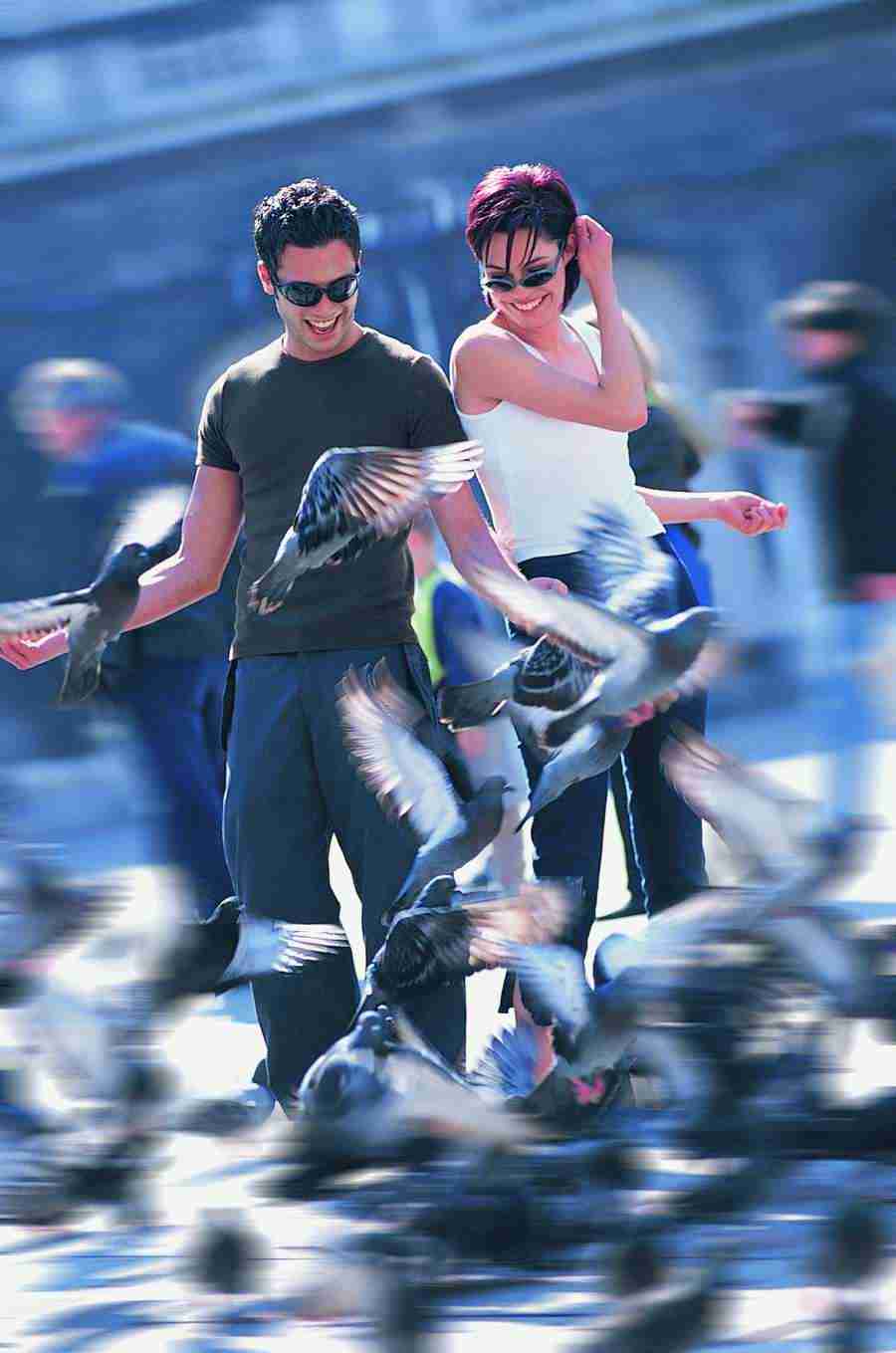 City Break - Digital Vision ></a>
<script language=JavaScript> 
  var txt = 