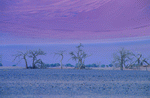 Digital Vision: Deserts 