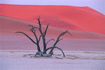 Digital Vision: Deserts 