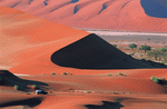 Digital Vision: Deserts 