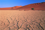 Digital Vision: Deserts 