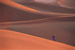 Digital Vision: Deserts 