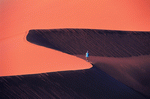 Digital Vision: Deserts 