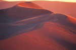 Digital Vision: Deserts 