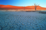 Digital Vision: Deserts 