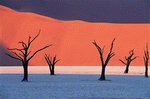 Digital Vision: Deserts 