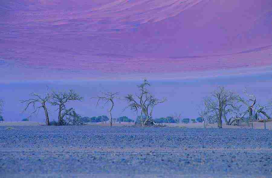 Deserts - Digital Vision ></a>
<script language=JavaScript> 
  var txt = 