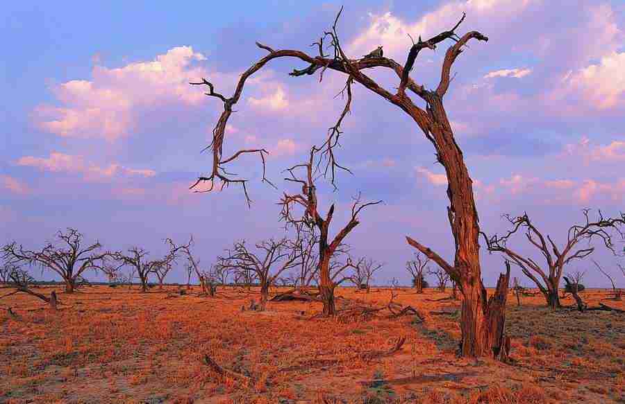 Deserts - Digital Vision ></a>
<script language=JavaScript> 
  var txt = 