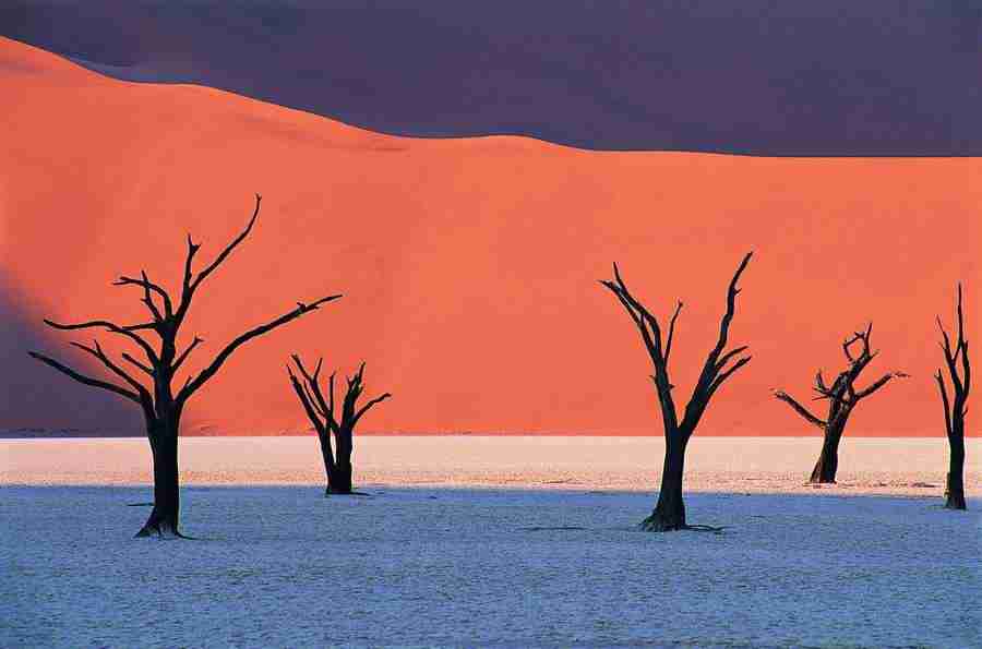 Deserts - Digital Vision ></a>
<script language=JavaScript> 
  var txt = 