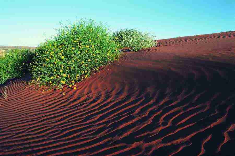 Deserts - Digital Vision ></a>
<script language=JavaScript> 
  var txt = 