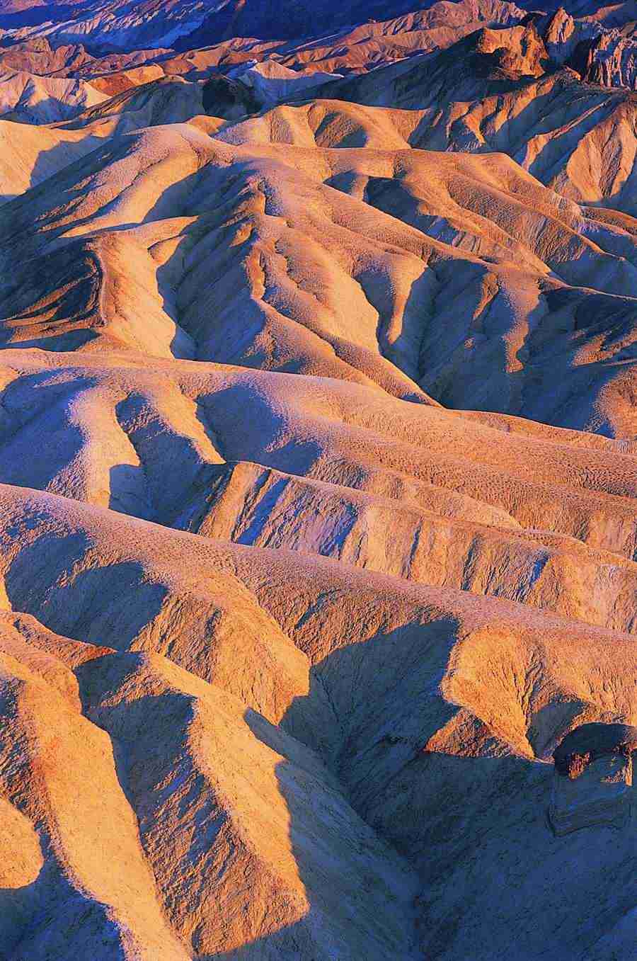 Deserts - Digital Vision ></a>
<script language=JavaScript> 
  var txt = 