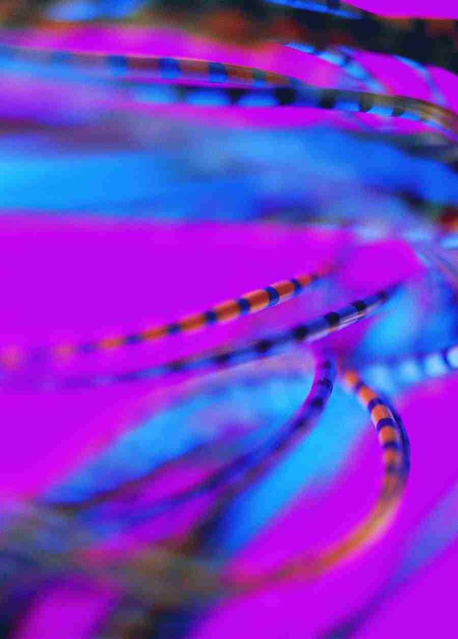 Electro Delirium - Digital Vision ></a>
<script language=JavaScript> 
  var txt = 