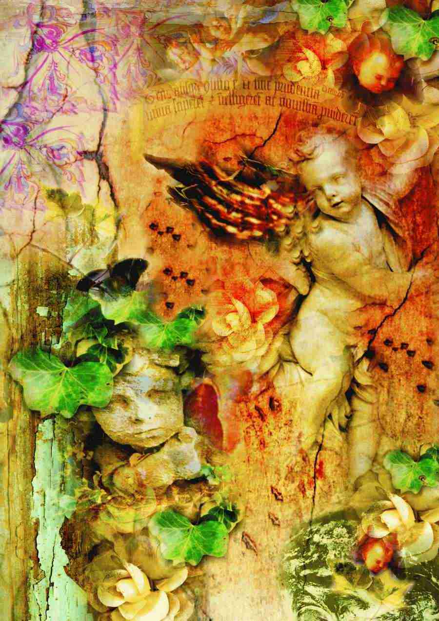 Enigma - Digital Vision ></a>
<script language=JavaScript> 
  var txt = 