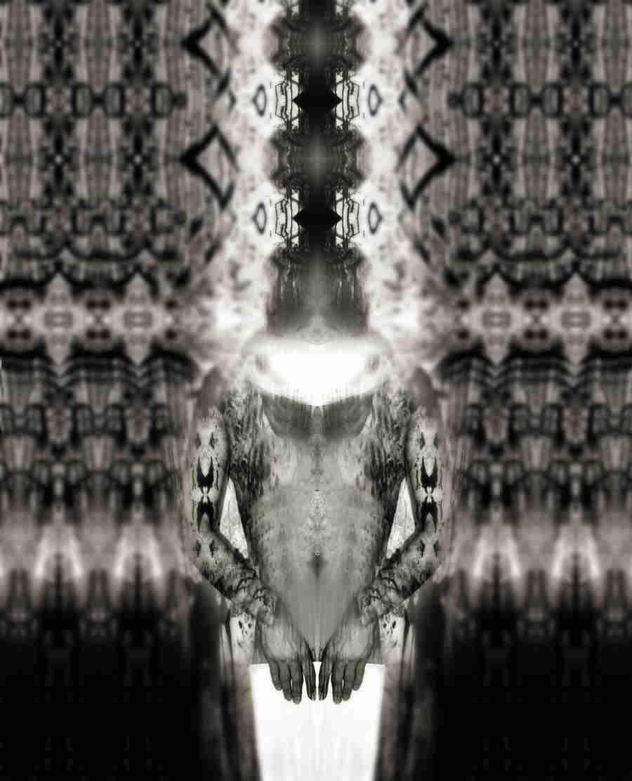 Elements of State - Digital Vision ></a>
<script language=JavaScript> 
  var txt = 