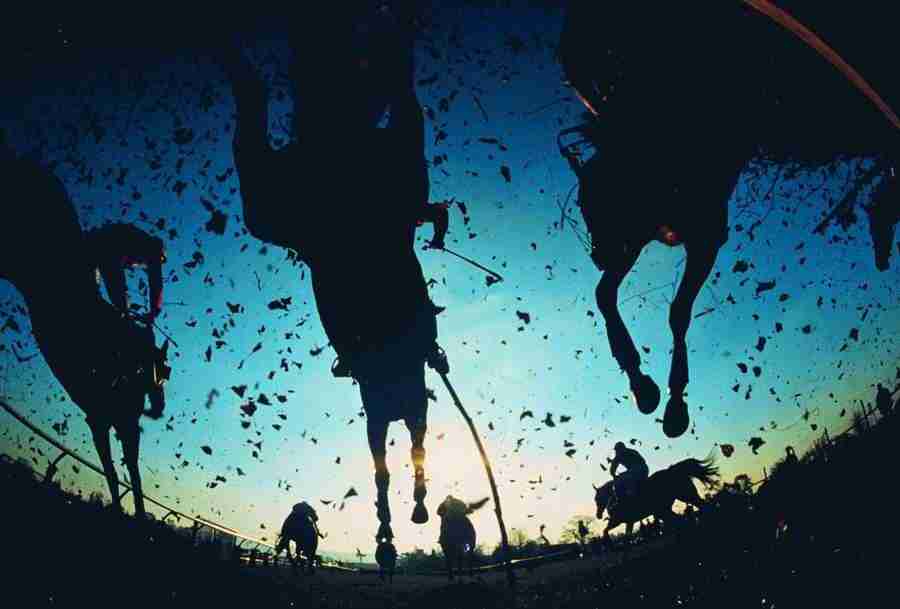 Go For Gold - Digital Vision ></a>
<script language=JavaScript> 
  var txt = 