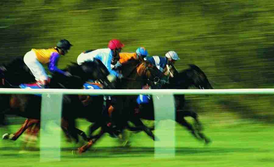 Go For Gold - Digital Vision ></a>
<script language=JavaScript> 
  var txt = 