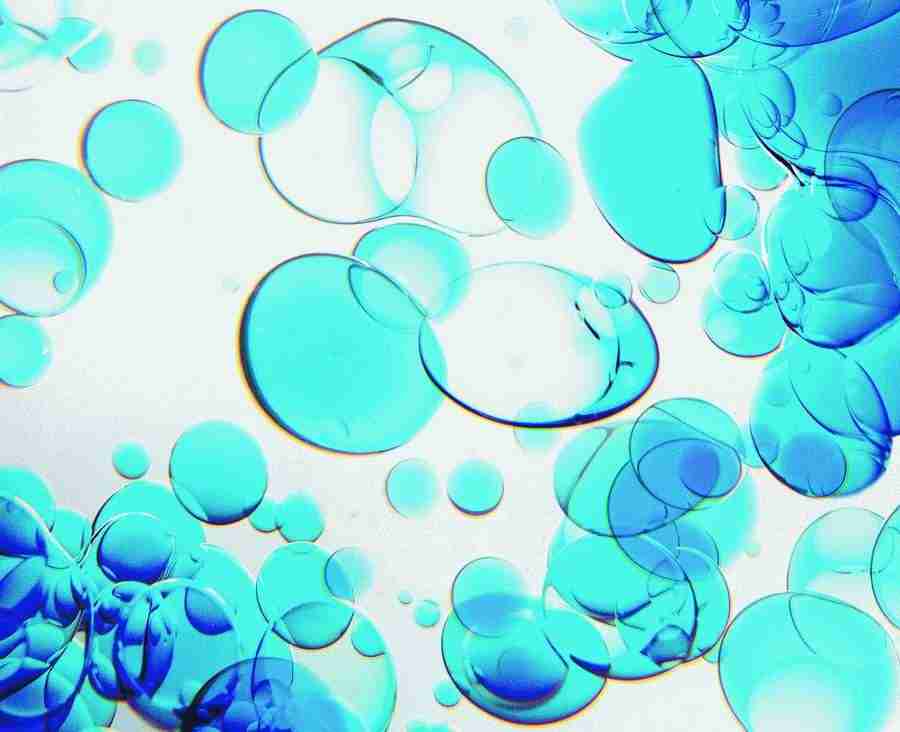 H2O - Digital Vision ></a>
<script language=JavaScript> 
  var txt = 