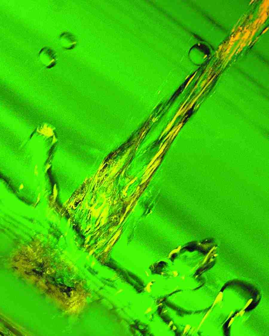 H2O - Digital Vision ></a>
<script language=JavaScript> 
  var txt = 