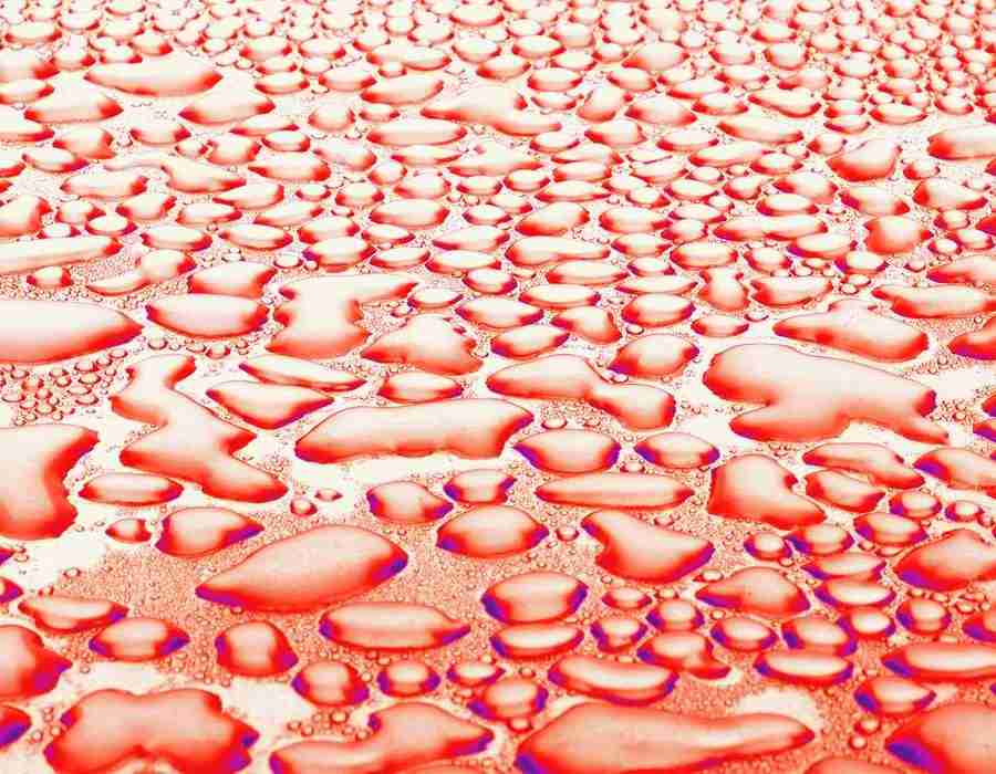 H2O - Digital Vision ></a>
<script language=JavaScript> 
  var txt = 