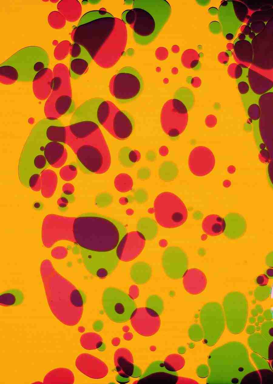 H2O - Digital Vision ></a>
<script language=JavaScript> 
  var txt = 