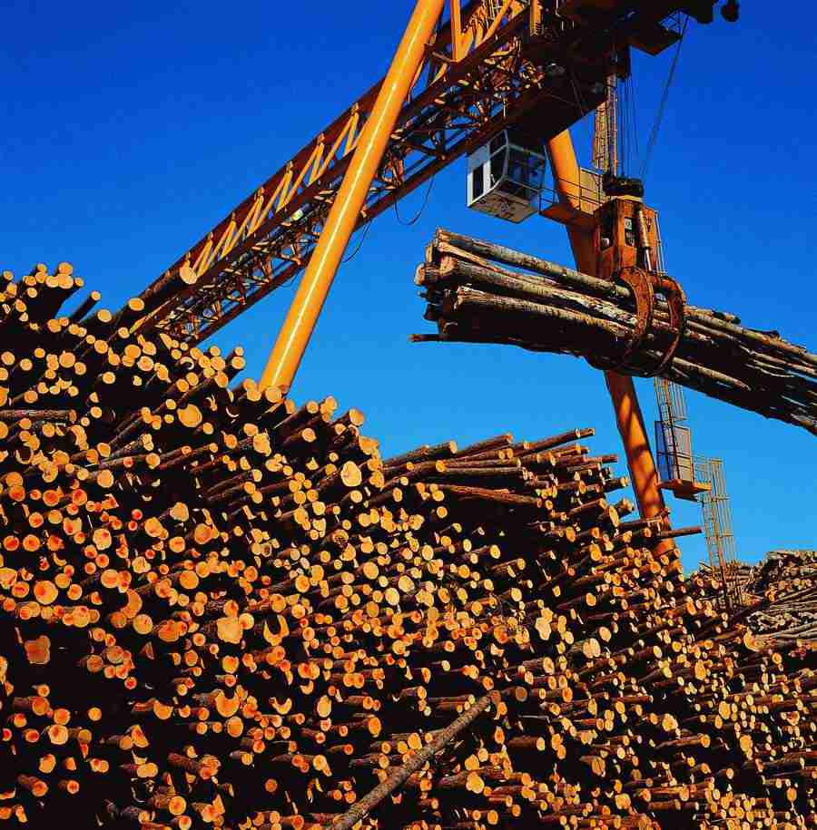 Industry in Action - Digital Vision ></a>
<script language=JavaScript> 
  var txt = 