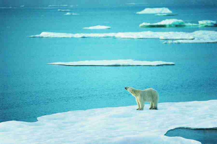 Ice Kingdom - Digital Vision ></a>
<script language=JavaScript> 
  var txt = 