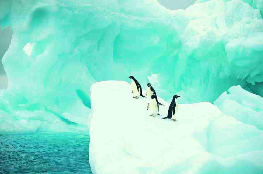 Ice Kingdom - Digital Vision ></a>
<script language=JavaScript> 
  var txt = 