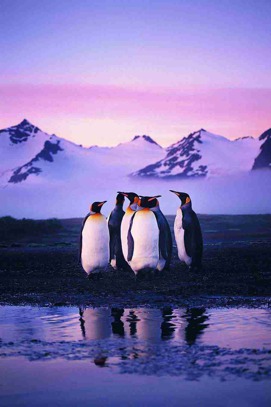 Ice Kingdom - Digital Vision ></a>
<script language=JavaScript> 
  var txt = 