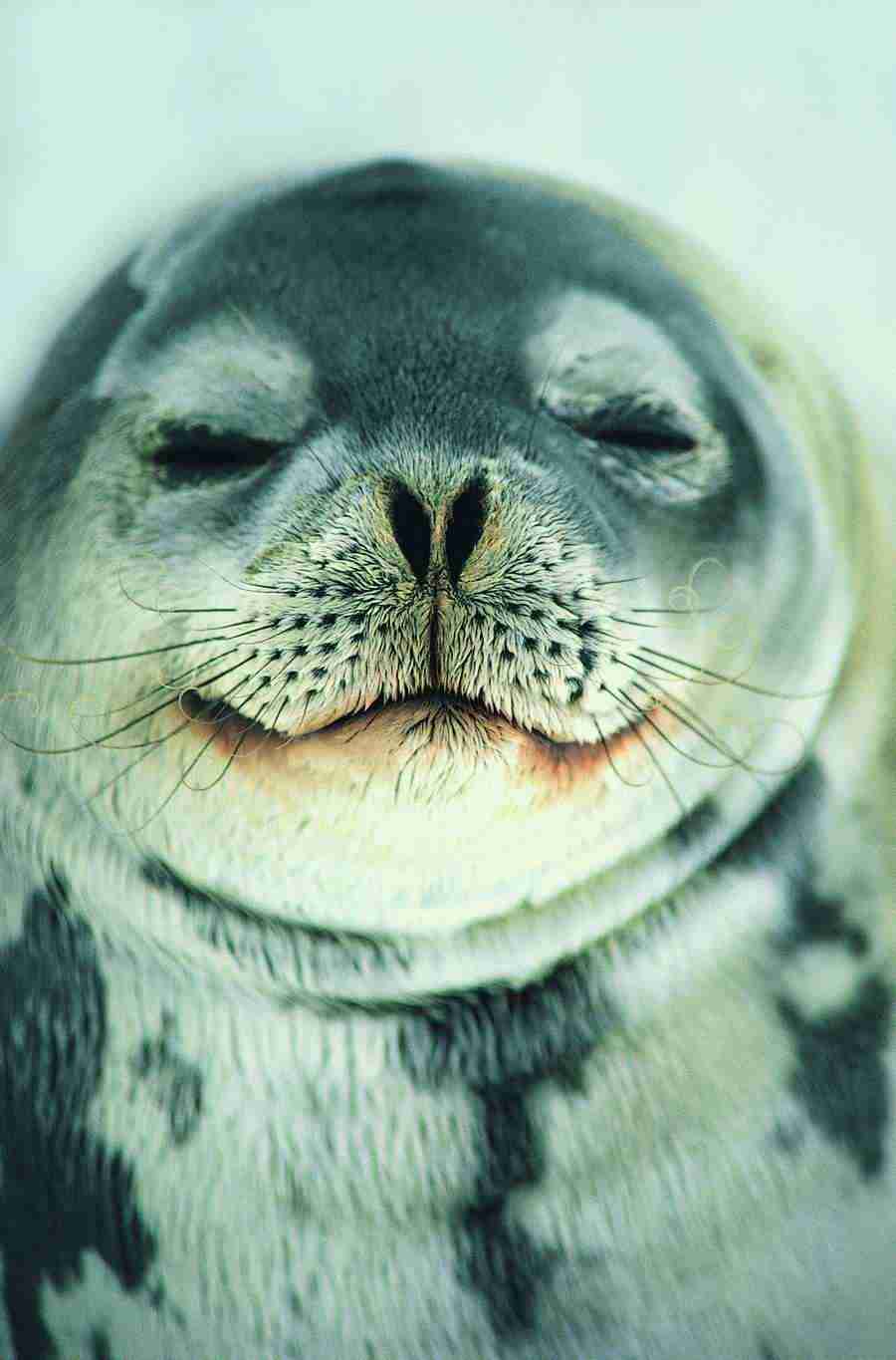 Ice Kingdom - Digital Vision ></a>
<script language=JavaScript> 
  var txt = 