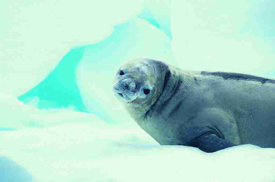 Ice Kingdom - Digital Vision ></a>
<script language=JavaScript> 
  var txt = 