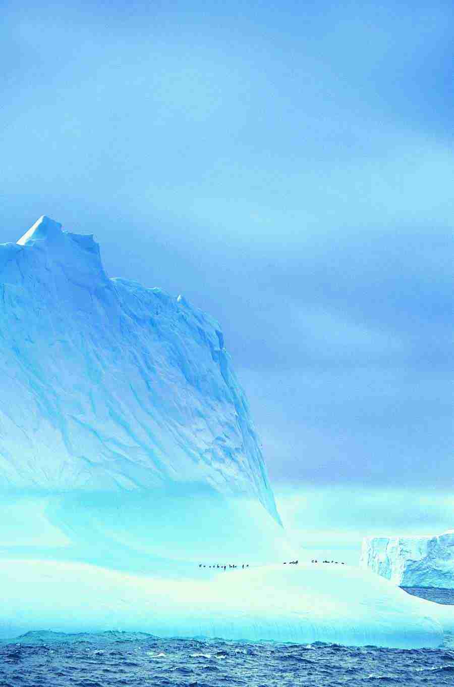 Ice Kingdom - Digital Vision ></a>
<script language=JavaScript> 
  var txt = 